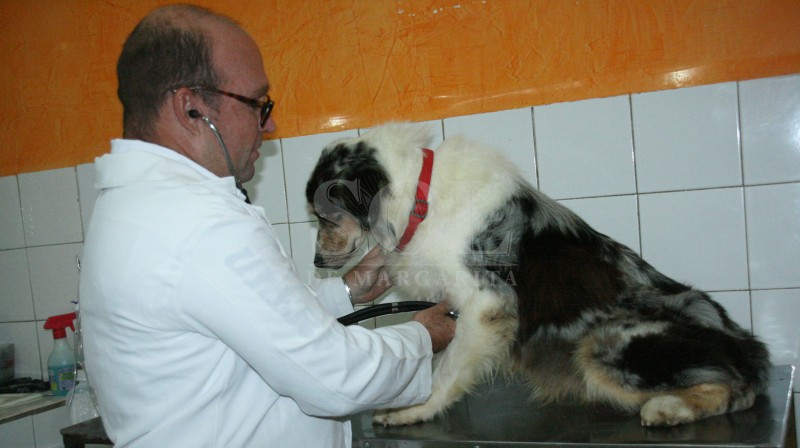 Foto: OLYANA MARCANO @olymarcano 